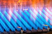 Dalebank gas fired boilers
